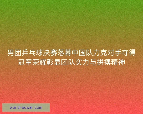 男团乒乓球决赛落幕中国队力克对手夺得冠军荣耀彰显团队实力与拼搏精神
