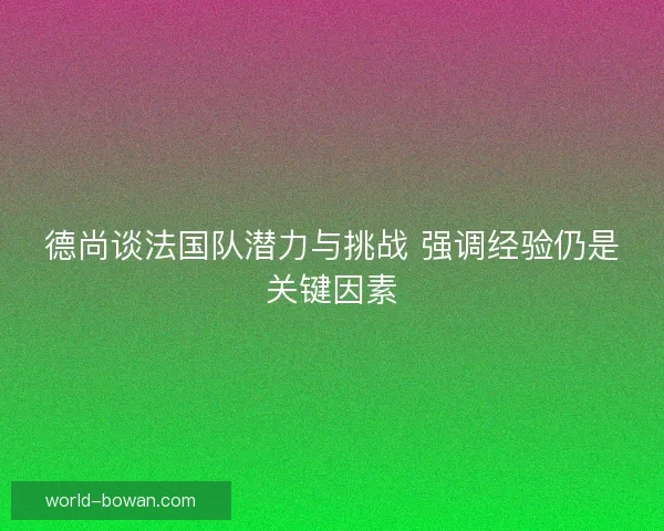 德尚谈法国队潜力与挑战 强调经验仍是关键因素